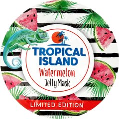 Geelikasvomaski Marion Tropical Island 10 g hinta ja tiedot | Kasvonaamiot ja silmänalusaamiot | hobbyhall.fi