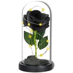 Ikuinen ruusu lasissa Springos HA7442 hinta ja tiedot | Kestoruusut | hobbyhall.fi