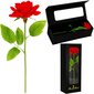 Eternal Rose Springos HA7449 hinta ja tiedot | Kestoruusut | hobbyhall.fi