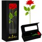 Eternal Rose Springos HA7449 hinta ja tiedot | Kestoruusut | hobbyhall.fi