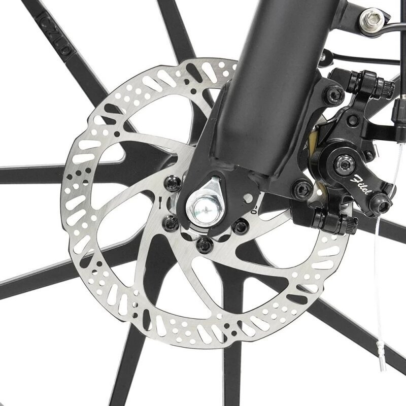 Sähköpyörä Cmacewheel GW20, 20", harmaa, 750W, 17Ah hinta ja tiedot | Sähköpyörät | hobbyhall.fi