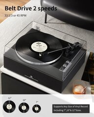 Angles Horn vinyylilevysoitin, HP-H019 hinta ja tiedot | Vinyylilevysoittimet ja gramofonit | hobbyhall.fi