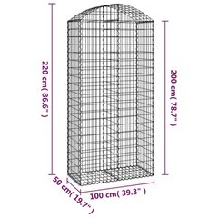 vidaXL Kaareva kivikori 100x50x200/220 cm galvanoitu rauta hinta ja tiedot | Aidat ja tarvikkeet | hobbyhall.fi