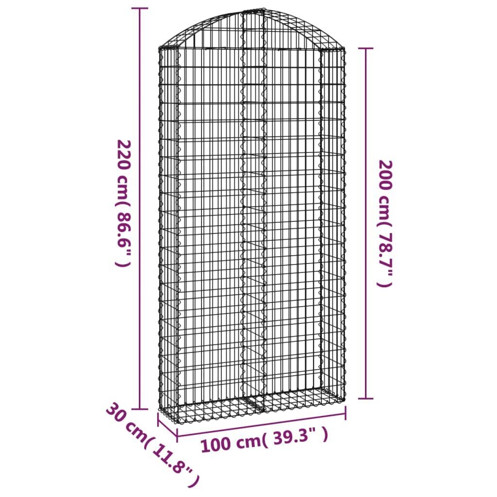 vidaXL Kaareva kivikori 100x30x200/220 cm galvanoitu rauta hinta ja tiedot | Aidat ja tarvikkeet | hobbyhall.fi