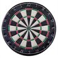 React Darts-taulu kaapilla hinta ja tiedot | Darts | hobbyhall.fi