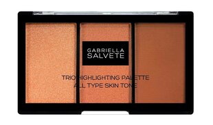 Poskipuna Gabriella Salvete Trio Highlighting Palette, 15 g - W hinta ja tiedot | Aurinkopuuterit ja poskipunat | hobbyhall.fi