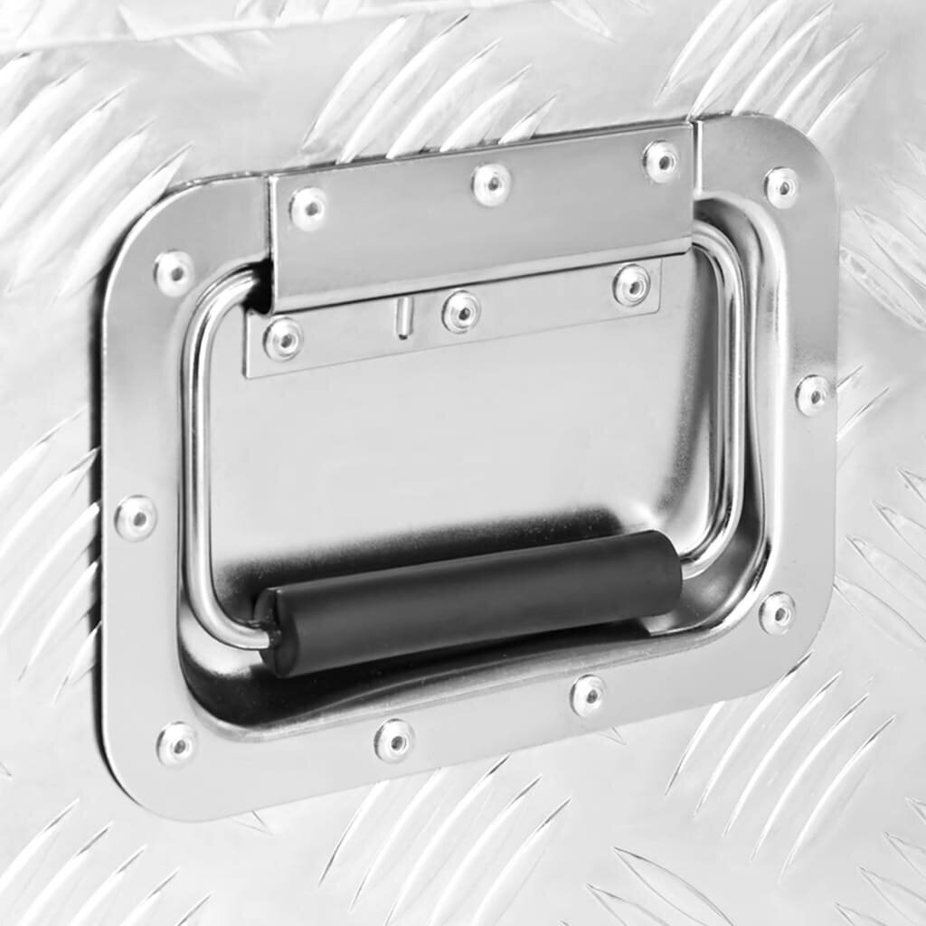 vidaXL Säilytyslaatikko hopea 100x55x37 cm alumiini hinta ja tiedot | Säilytyslaatikot ja -korit | hobbyhall.fi
