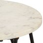 vidaXL Sohvapöytä valkoinen 40x40x40 cm aito kivi marmorikuviolla hinta ja tiedot | Sohvapöydät | hobbyhall.fi
