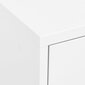vidaXL Varastokaappi valkoinen 80x35x101,5 cm teräs hinta ja tiedot | Olohuoneen kaapit ja lipastot | hobbyhall.fi