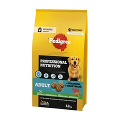 Pedigree Adult Professional Nutrition suurille ja keskikokoisille koirille naudanlihaa ja vihanneksia, 12 kg hinta ja tiedot | Koiran kuivaruoka | hobbyhall.fi