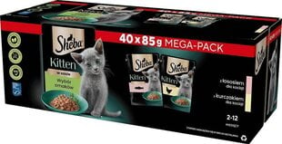 Sheba Kitten nuorille kissanpennuille lohta ja kanaa, 40x85 g hinta ja tiedot | Kissanruoka | hobbyhall.fi