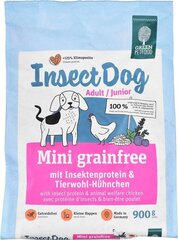 Josera InsectDog Mini Grainfree mažų ir miniatiūrinių veislių šunims su vištiena, 900 g hinta ja tiedot | Koiran kuivaruoka | hobbyhall.fi