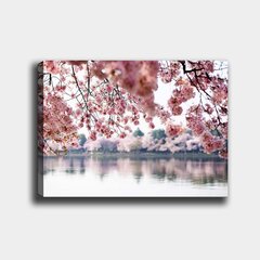 Kuva kirsikankukista hinta ja tiedot | Taulut | hobbyhall.fi