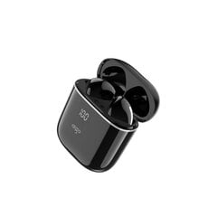 Langattomat kuulokkeet T18 13MM 33h Type-C Bluetooth 5.3 hinta ja tiedot | Kuulokkeet | hobbyhall.fi