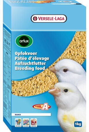 Versele-Laga Breedingfood Bianco, 1 kg, valkoisille kanarialinnuille. hinta ja tiedot | Lintujen ruokinta | hobbyhall.fi