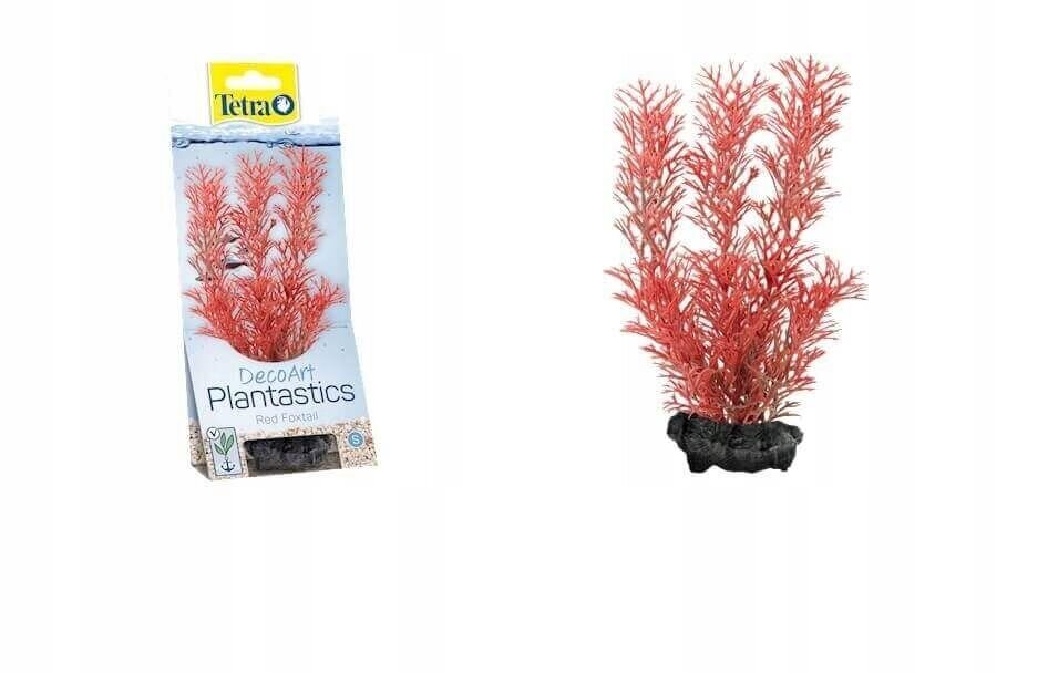 Akvaariokasvi Tetra DecoArt Plant L Foxtail Red, 30 cm hinta ja tiedot | Akvaariokasvit ja akvaariokoristeet | hobbyhall.fi