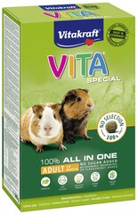 Ruoka marsuille Vitakraft Vita Special, 600 g hinta ja tiedot | Pieneläinten ruoat | hobbyhall.fi