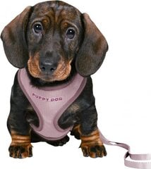 Trixie Junior, 26-34 cm/10 mm, violetti, hihnalla varustetut valjaat pennuille hinta ja tiedot | Koiran valjaat ja kaulapannat | hobbyhall.fi