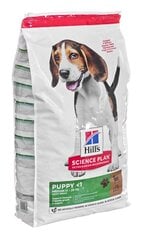 Kuivaruoka pennuille Hill's Science Plan Puppy Medium, lammasta ja riisiä, 14 kg. hinta ja tiedot | Koiran kuivaruoka | hobbyhall.fi