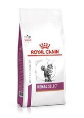 Royal Canin Cat Renal Select kissalle, jolla on krooninen munuaisten vajaatoiminta 0,4 kg hinta ja tiedot | Kissan kuivaruoka | hobbyhall.fi