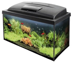 Aqua Szut akvaariosetti Aqua4Family 80 hinta ja tiedot | Akvaariotarvikkeet | hobbyhall.fi