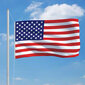 vidaXL Yhdysvaltojen lippu 90x150 cm hinta ja tiedot | Liput | hobbyhall.fi