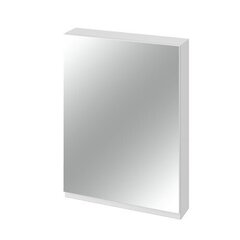 Kylpyhuonekaappi peilillä Cersanit Moduo 40, valkoinen hinta ja tiedot | Kylpyhuonekaapit | hobbyhall.fi