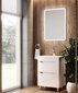 Kylpyhuonekaappi, jossa on pesuallas Neo-50, valkoinen hinta ja tiedot | Kylpyhuonekaapit | hobbyhall.fi