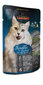 Täysravinto Leonardo Trout & Catnip, 85 g x 1 kpl hinta ja tiedot | Kissanruoka | hobbyhall.fi