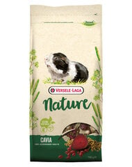 Täysravinto aikuisille marsuille Versele Laga Cavia Nature, 9 kg hinta ja tiedot | Jyrsijöiden ruokinta | hobbyhall.fi