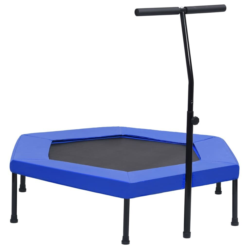 vidaXL Fitness trampoliini kahvalla ja turvatyynyllä kuusikulmio 122cm hinta ja tiedot | Fitness-trampoliinit | hobbyhall.fi