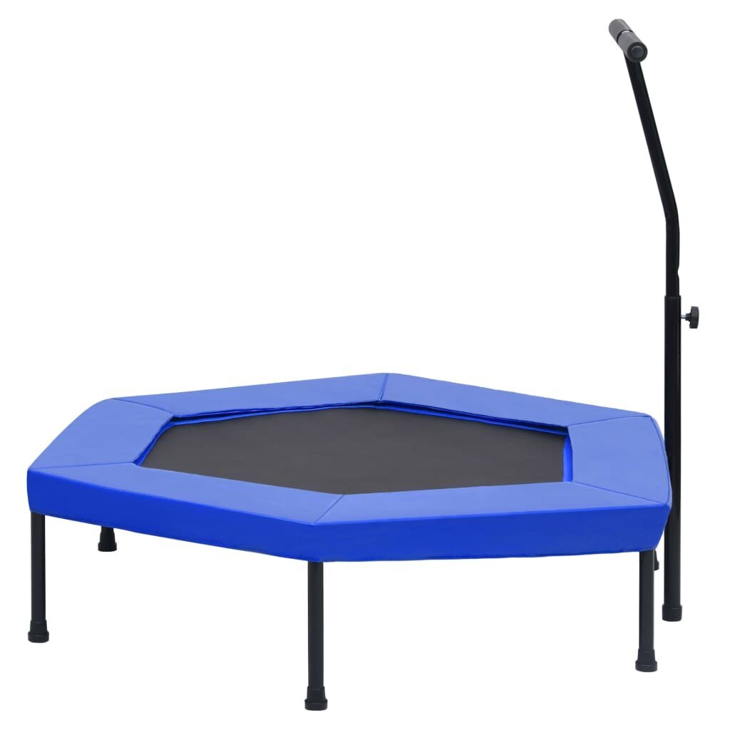 vidaXL Fitness trampoliini kahvalla ja turvatyynyllä kuusikulmio 122cm hinta ja tiedot | Fitness-trampoliinit | hobbyhall.fi