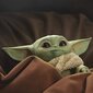 Hasbro Star Wars: The Mandalorian The Child Baby Yoda hinta ja tiedot | Pelien oheistuotteet | hobbyhall.fi