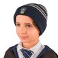 Harry Potter Pipo & Käsinesetti lapsille Ravenclaw 11770 hinta ja tiedot | Poikien hatut, huivit ja käsineet | hobbyhall.fi