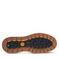 Timberland Miesten kengät Maple Grove Low Lace Up Sneaker Wheat, TB0A2E7D2311, beige TB0A2E7D2311-46 hinta ja tiedot | Miesten kengät | hobbyhall.fi