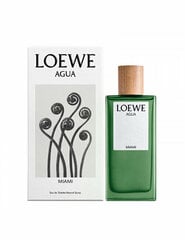 Hajuvesi Agua Miami EDT miehille/naisille, 75 ml hinta ja tiedot | Loewe Hajuvedet ja tuoksut | hobbyhall.fi