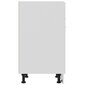 vidaXL Alalipastokaappi valkoinen 60x46x81,5 cm lastulevy hinta ja tiedot | Keittiön kaapit | hobbyhall.fi