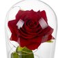 LED ruusu hinta ja tiedot | Kestoruusut | hobbyhall.fi