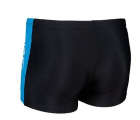 Lasten uimahousut Arena Thrice Jr Shorts hinta ja tiedot | Arena Poikien vaatteet | hobbyhall.fi