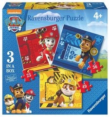 Puzzle 3in1 Ryhmä Hau hinta ja tiedot | Palapelit | hobbyhall.fi