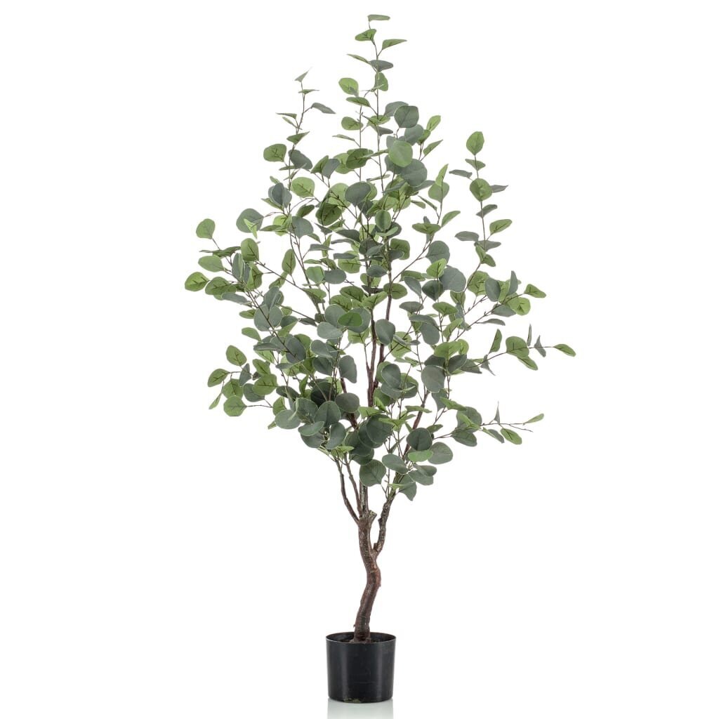 Emerald Tekokasvi eukalyptuspuu ruukussa 120 cm hinta ja tiedot | Keinotekoiset kukat | hobbyhall.fi