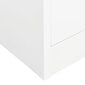 vidaXL Vaatekaappi valkoinen 80x50x180 cm teräs hinta ja tiedot | Kaapit | hobbyhall.fi