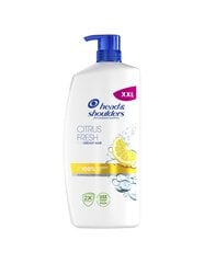 Head & Shoulders Citrus Fresh Shampoo, 800 ml hinta ja tiedot | Shampoot | hobbyhall.fi