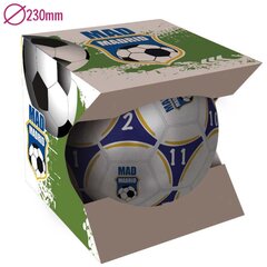 Jalkapallo Madrid Ball + kotelo hinta ja tiedot | Jalkapallot | hobbyhall.fi