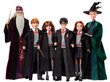 Harry Potter -nukke hinta ja tiedot | Tyttöjen lelut | hobbyhall.fi