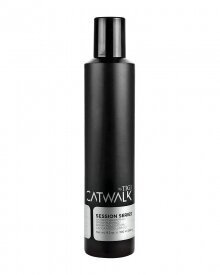 Hiuslakka TIGI Catwalk Session Series Work It Hairspray 300 ml hinta ja tiedot | Kampaamotuotteet | hobbyhall.fi