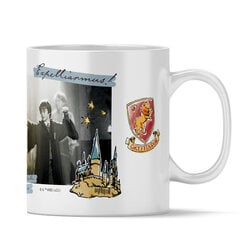 Keraaminen muki Harry Potter, lisensoitu tuote hinta ja tiedot | Pelien oheistuotteet | hobbyhall.fi