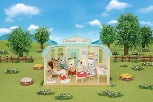 Sylvanian Families Village Doctor -leikkisetti hinta ja tiedot | Poikien lelut | hobbyhall.fi