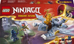 71810 LEGO® Ninjago Young Dragon Riyu hinta ja tiedot | LEGOT ja rakennuslelut | hobbyhall.fi