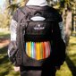 Viking Discs Rucksack Pro Frisbeegolf reppu hinta ja tiedot | Frisbeegolf | hobbyhall.fi